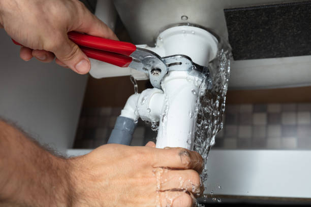 Best Mold removal after water damage  in Fort Denaud, FL