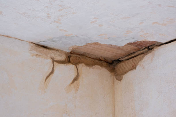 Best Carpet water damage restoration  in Fort Denaud, FL