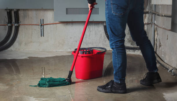 Best Water damage contractors near me  in Fort Denaud, FL