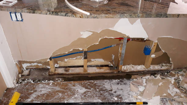 Best Water damage cleanup near me  in Fort Denaud, FL