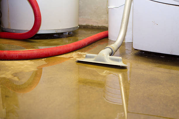 Best Professional water damage repair  in Fort Denaud, FL