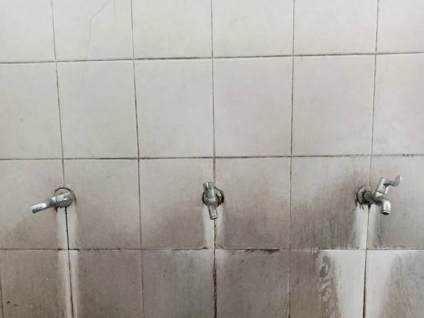 Best Local water damage restoration  in Fort Denaud, FL