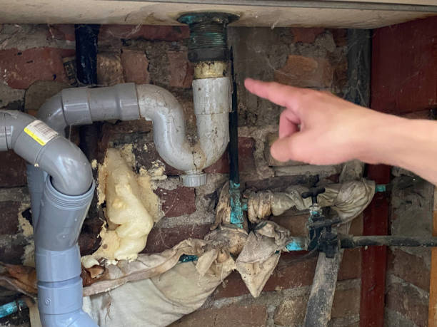 Best 24/7 water damage repair  in Fort Denaud, FL